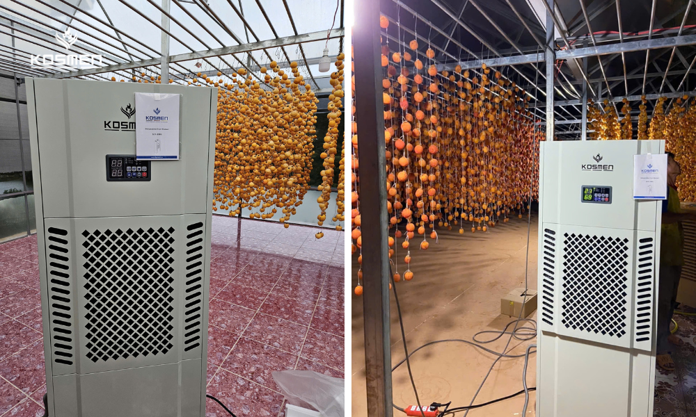 Application of dehumidifiers in the production of wind-dried persimmons in Xuan Truong Commune, Đa Lat City.